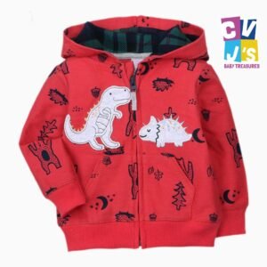 Boys Dino Hoodie